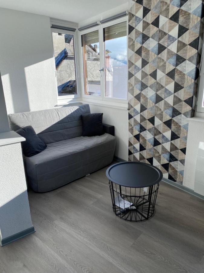 Residence Avec Un T3 Un T2 Et Un Studio En Centre Ville D Argelès-Gazost Eksteriør bilde